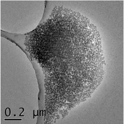 SiO2-Nanoparticles, ca. 20 nm, 50 wt.% aqueous suspension