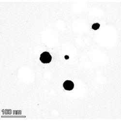 Copper nanoparticles 10% dispersion in water