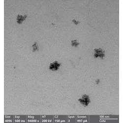 Ruthenium nanoparticles, 0,5 mg/mL aqueous colloidal...
