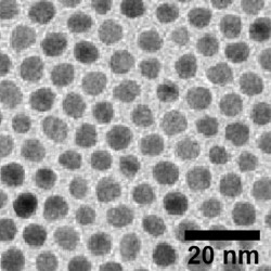 Silver nanoparticles, APS 6-7 nm, hydrophobic