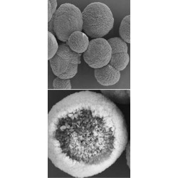 Calcium carbonate microparticles, APS: ca. 3 µm