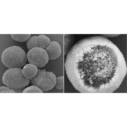 Calcium carbonate microparticles, APS: ca. 6 µm